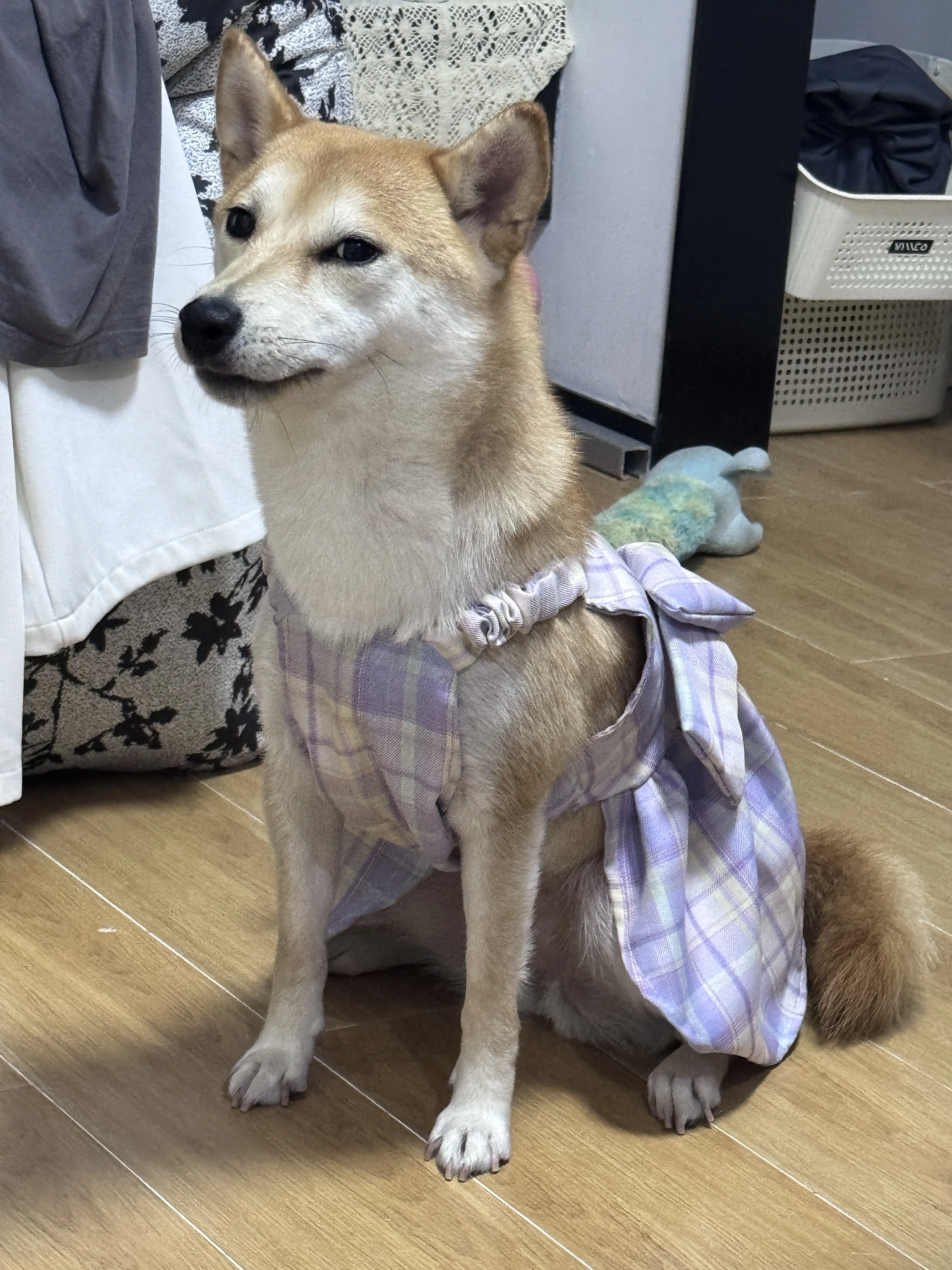 

CROSSGEAR Layered Fancy Dress for Dogs Summer Vest One Piece Puppy Spring Clothes Light Purple Plaid Long Pet Skirt Cat Clothing