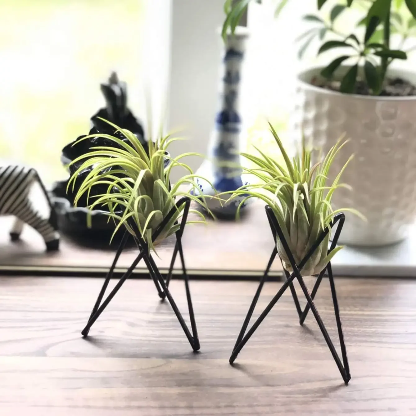 1pc Random Color Plant Rack, Minimalist Iron Plant Holder  Indoor And Outdoor