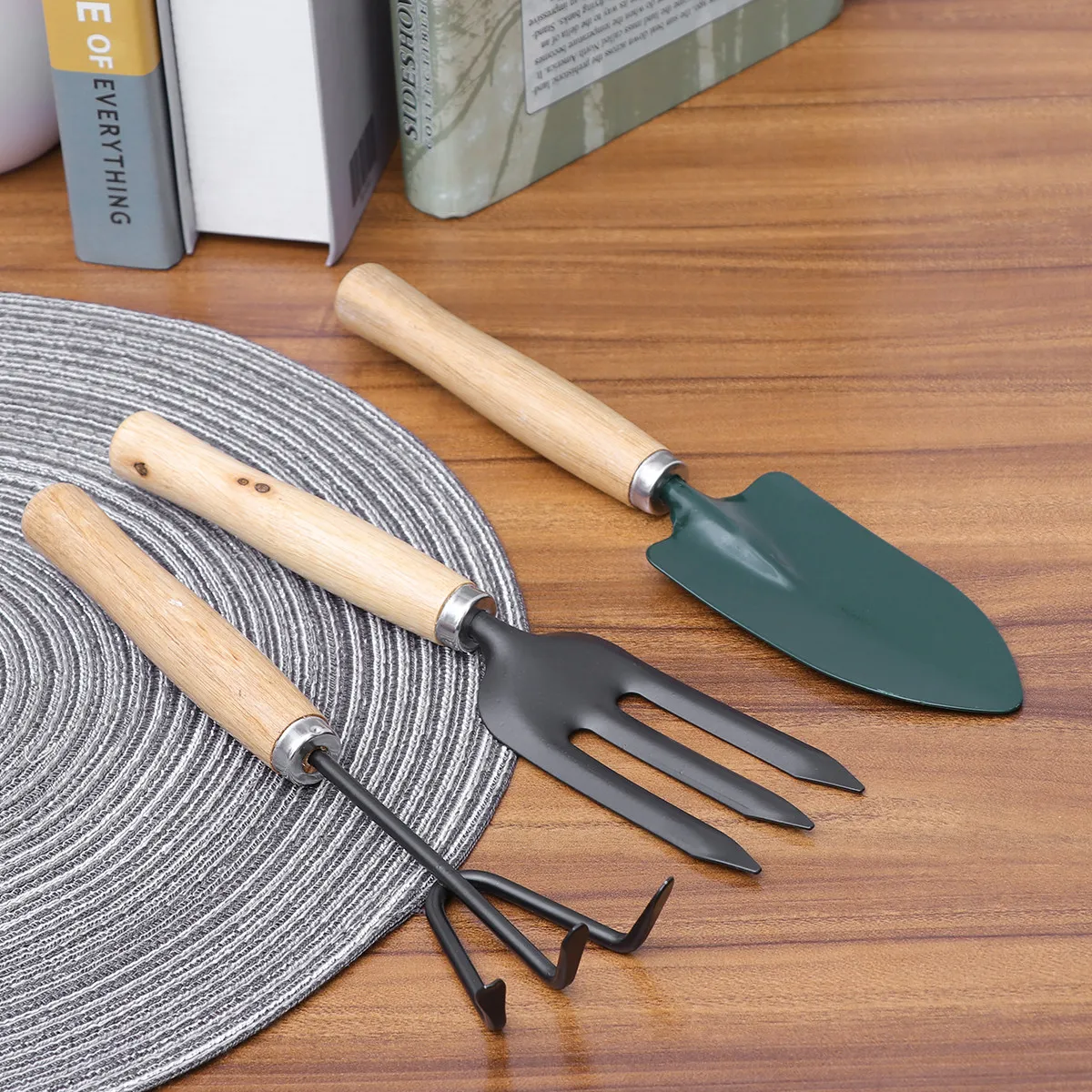 3Pcs Mini Gardening Tool Set I - Bonsai Garden Rake 评论和价格