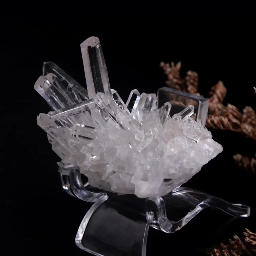 

20Pcs Display Stands for Collectibles Clear Acrylic Holder Rack for Mineral Agate Coral Small Collections Home Office