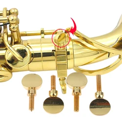 Vis de serrage de cou de saxophone, pièce d'outil de remplacement de saxophone, récepteur de cou, calcul de vis, accessoires de vent, 2 pièces