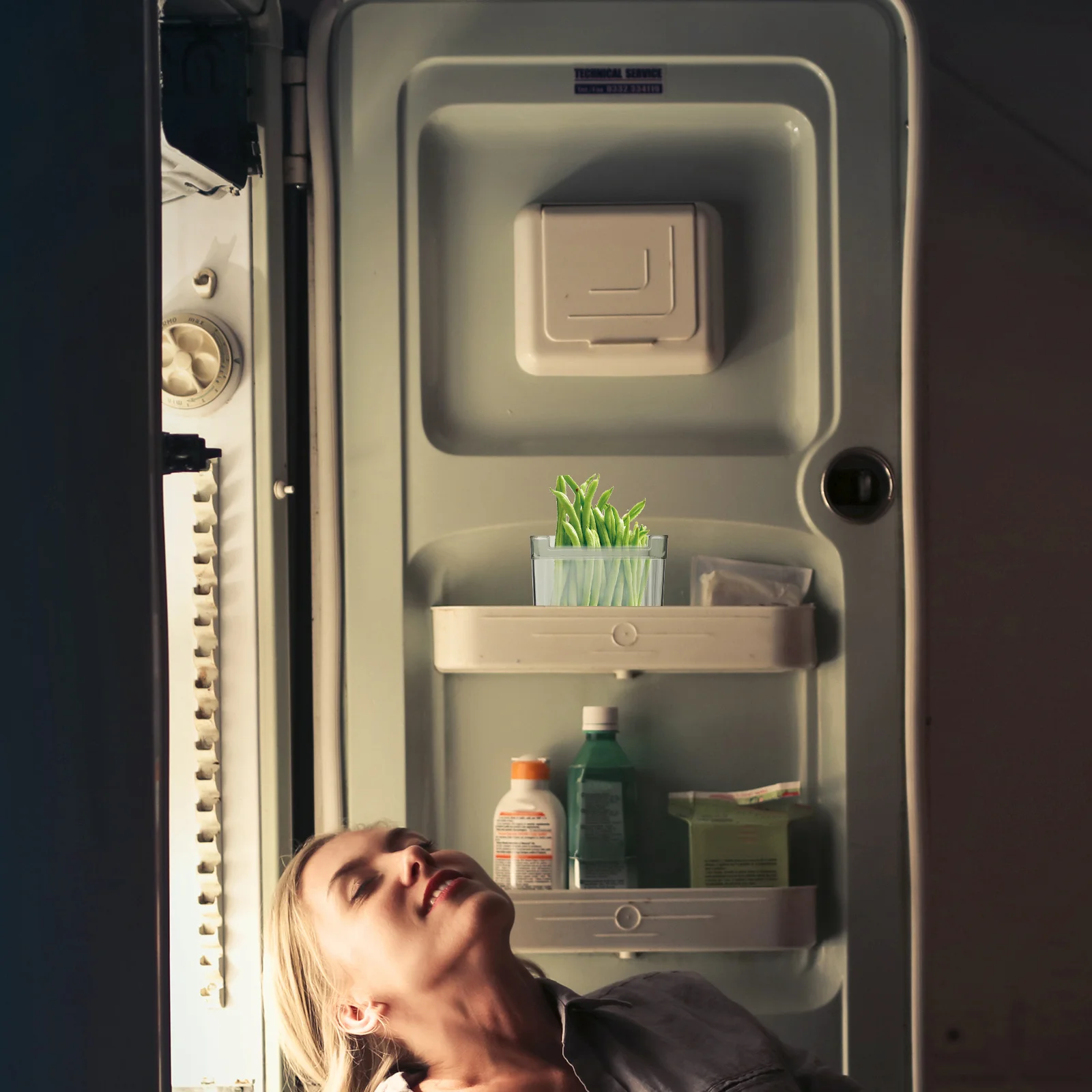 

2Pcs Fridge Organizer Resistance Vegetable Container for Refrigerator Classification Box Home Food Storage Case