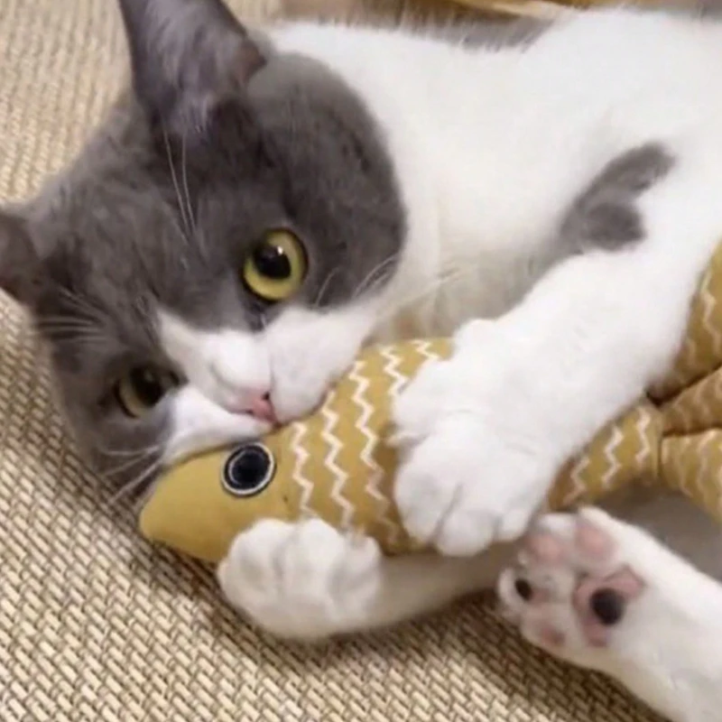 1 Stück Katzenspielzeug zur Selbstbeschäftigung mit Pfefferminz-Leinen, Simulierter Fisch, Katzenkratzstab, Kratzbrett für Kätzchen, Haustierzubehör