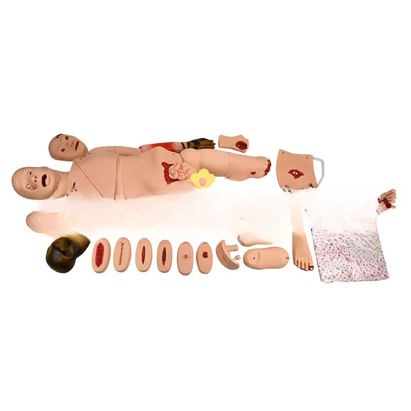 

Тренировочная практика гемостаза и повязки первой помощи для полнофункциональной модели человека для ухода за травмами