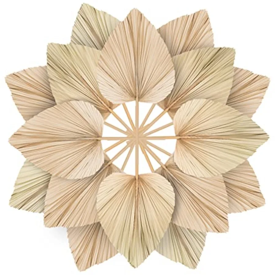 

10 Large Bulk Boho Dried Palm Leaves Fans with Stem Natural Tropical Palm Flowers Wedding Vase Decor