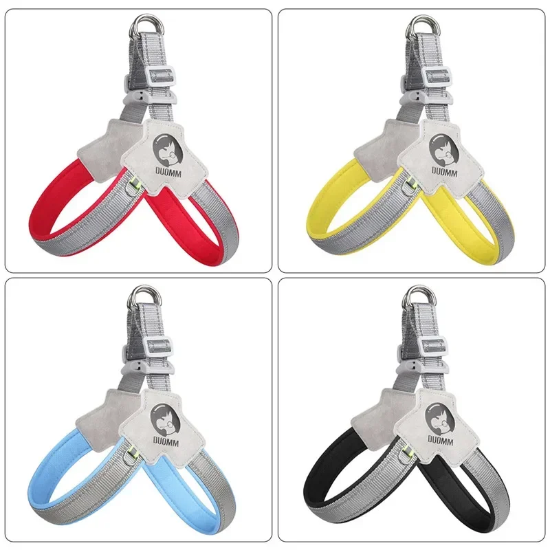 مجموعة أحزمة ومقود للكلاب شبكية عاكسة قابلة للتعديل ، بدون سحب ، سترة حيوانات أليفة للكلاب والقطط الصغيرة ، حزام الصدر ، البلدغ الفرنسي