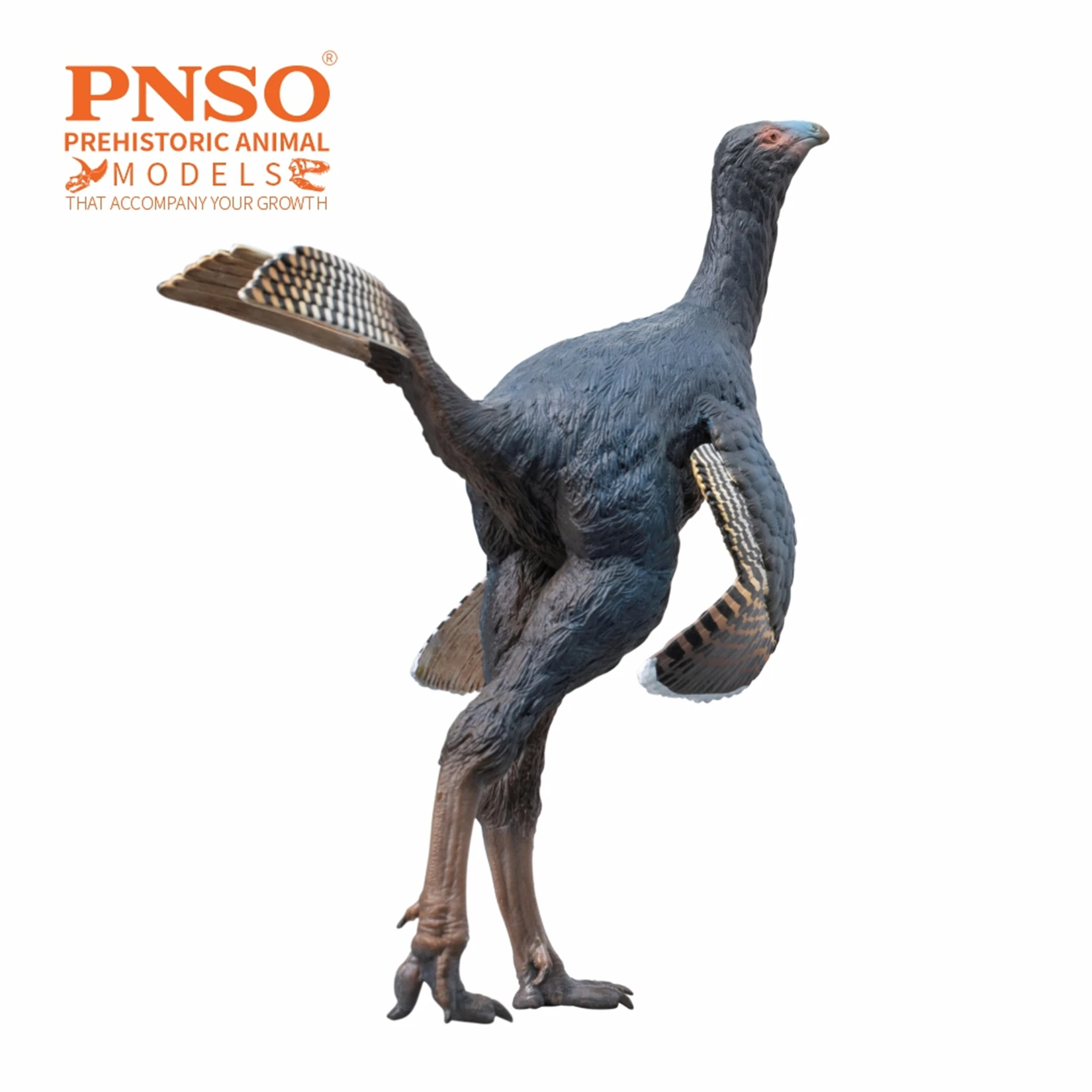 PNSO Caudipteryx 93 Model Dinozaura Prehistorycznego Kolekcjonerski Edukacja Naukowa Figurka Zwierzęcia Zabawki dla Dorosłych Dekoracja Prezent