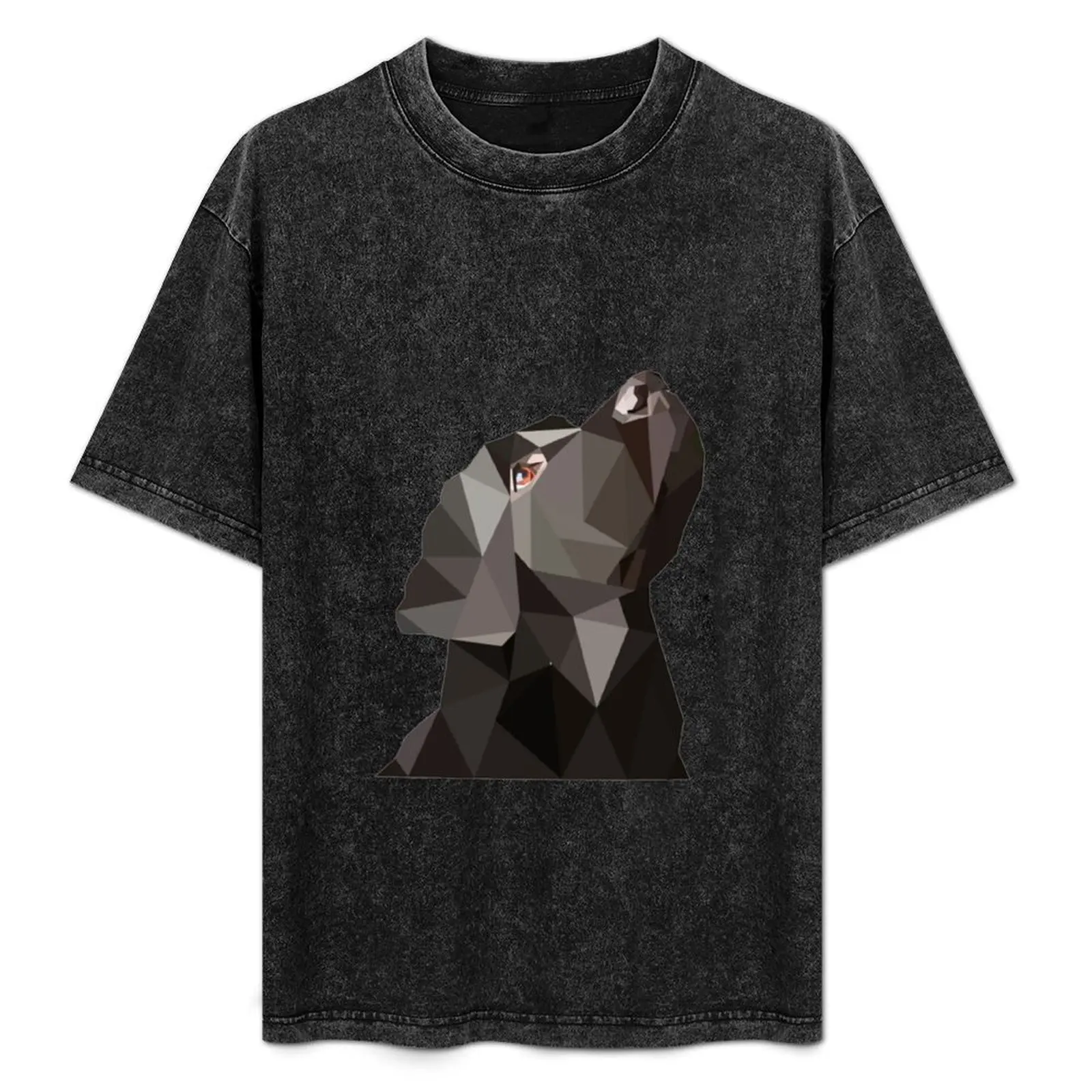 

Black Labrador T-Shirt Fitness Quick Dry Short Sleeve Top