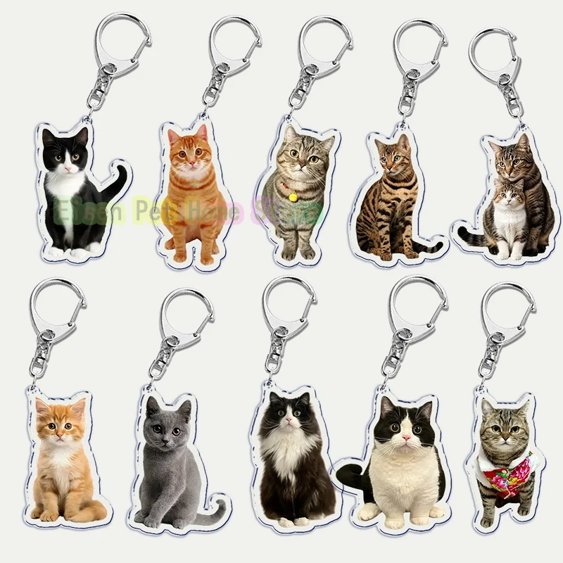 Funny Cat Key Chain Keychains Ring for Accessories Bag Pendant Keyring Jewelry Cute Animal Pet Llaveros Friends Gifts Cool Cats