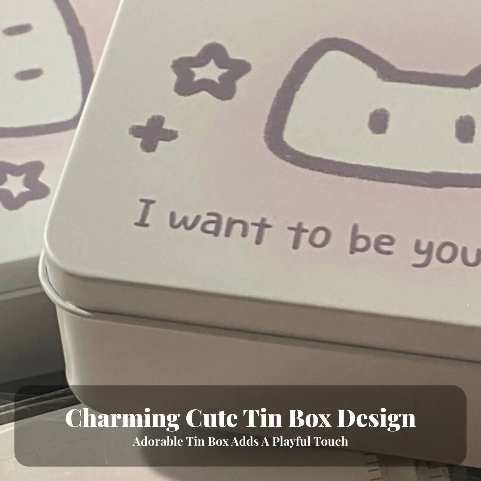 

Small Decorative Storage Box Adorable Feline Design Lidded Trinket Case Korean and Design With Lid for Girls, Women, Desktop