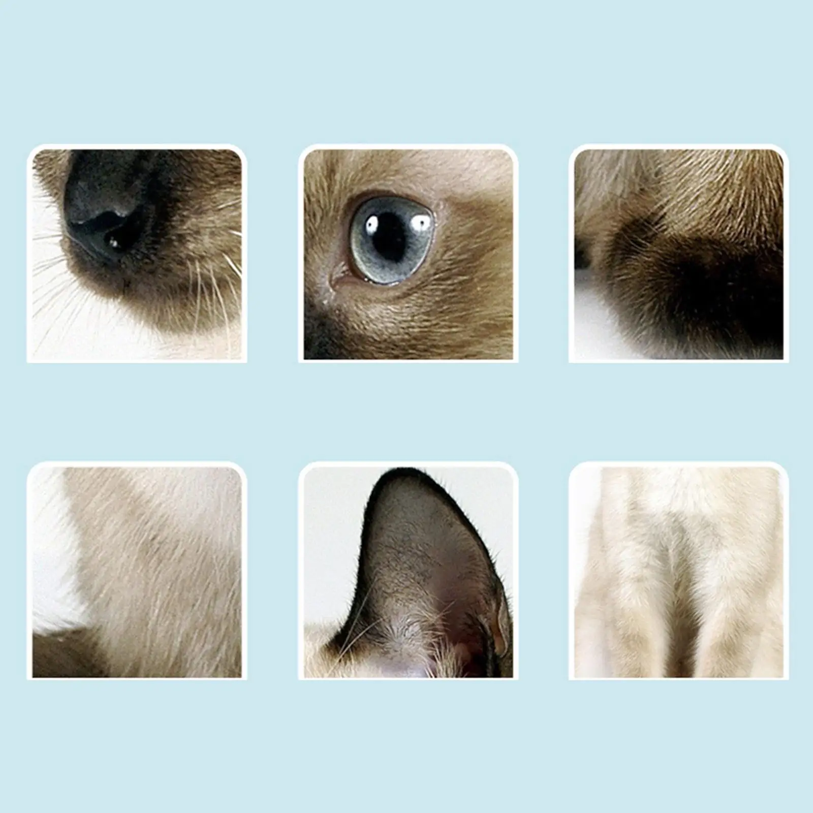 Guantes Desechables para limpieza de perros y gatos sin lavado