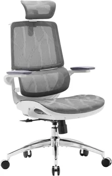 Ergonomic office chair with dual back design, 3D flip-up armrests, dynamic lumbar support