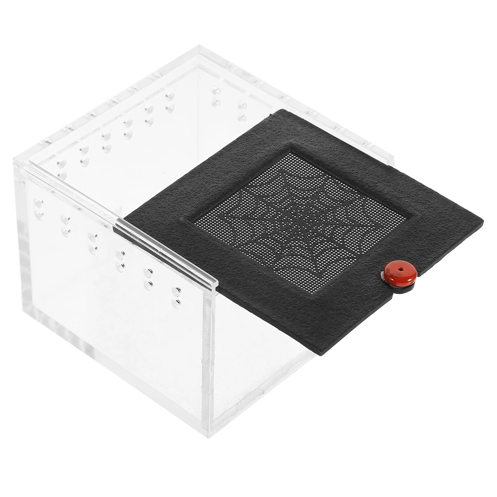 Kotak Makan Reptil Akrilik Transparan Terarium dengan Ventilasi untuk Laba-laba, Kadal, Siput, Serangga, Habitat Hewan Peliharaan, Kotak Pajangan