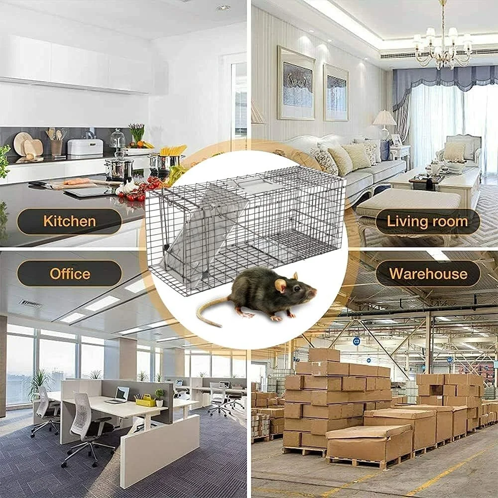 New Live Animal Cage Trap Humane Cat Rodent Control Folding with Handle for Rabbits Stray Cats Squirrels Raccoons Groundhogs