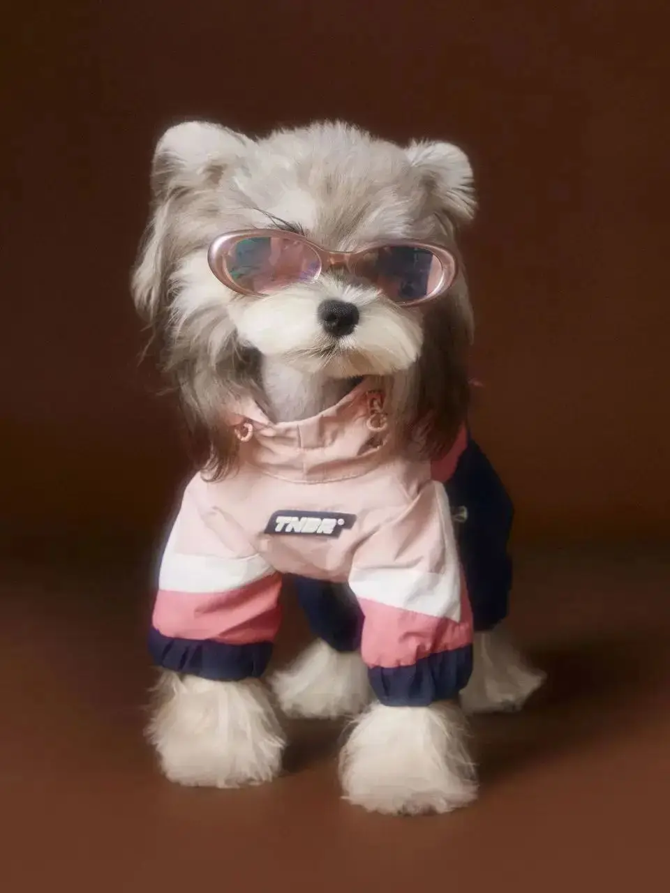 

Fashion Design Pet Sports Clothes - Waterproof And Windproof Maltese Terrier Teddy Bear Cute Pink Dog Sports Clothes