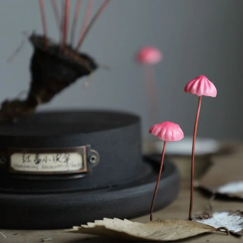 Ornements de champignons artisanaux faits à la main Marasmius rouge, jouets de bureau, œuvre d'art personnalisable, Collection de décoration, cadeau