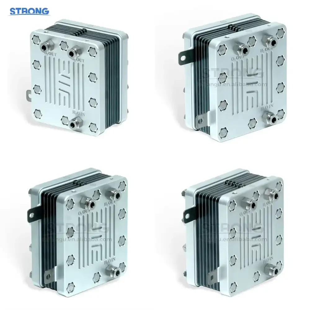 Custom PEM Electrolyzer for Fuel Cell Systems High-Efficiency Water Electrolysis Generation Equipment