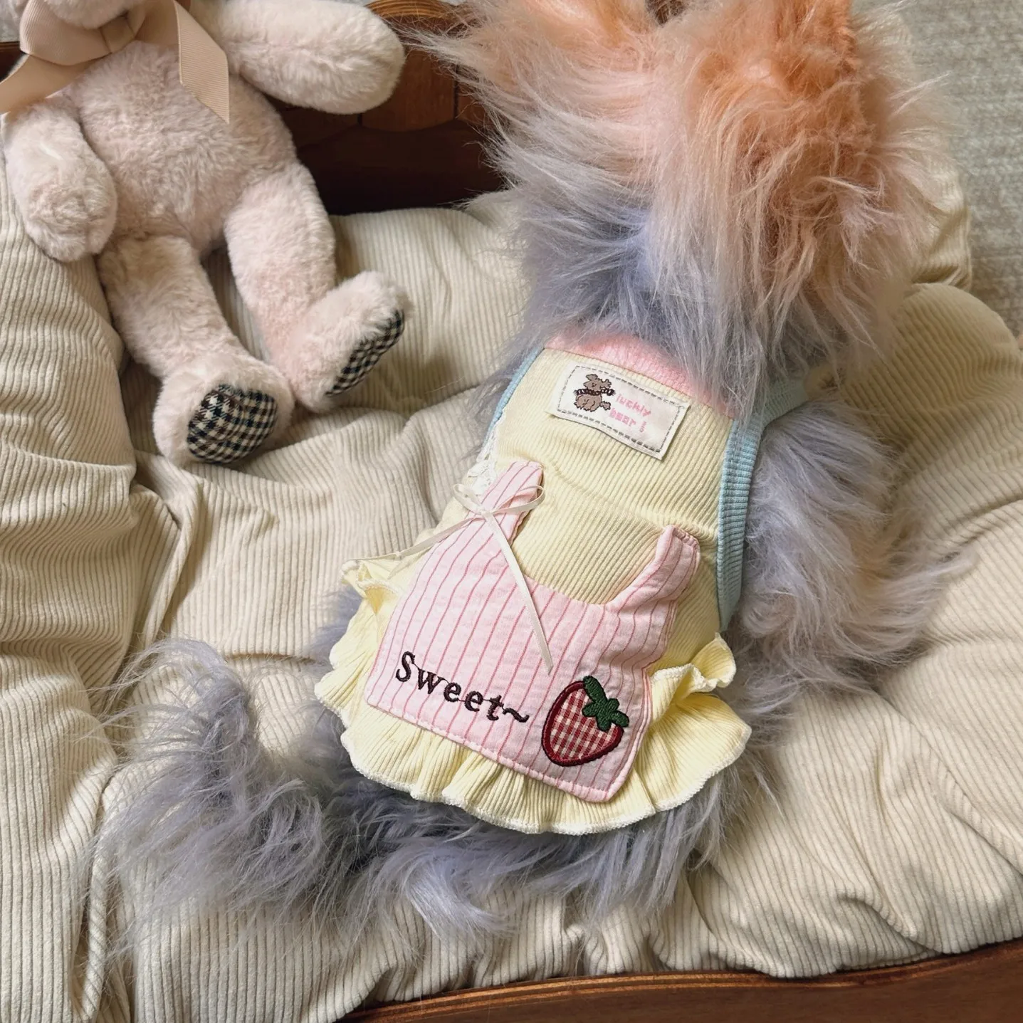 Ropa y accesorios con mochila fresa para gatos, perros pequeños - imagen 2