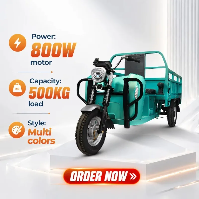 Electric Cargo Tricycle 650W Lead Acid Long Range Open Body Three Wheeler Cargo Box Motor