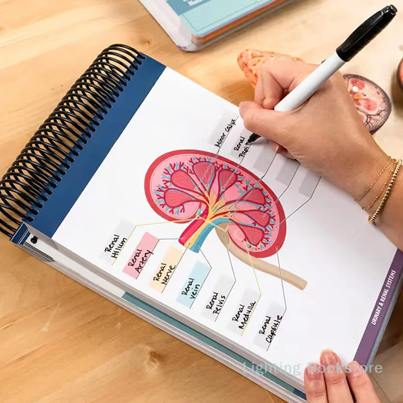 Anatomy Label Lab Workbook– 100+ Full-Color Dry-Erase Pages With Human Anatomy Illustrations, Anatomy Terms And Labels For Learn