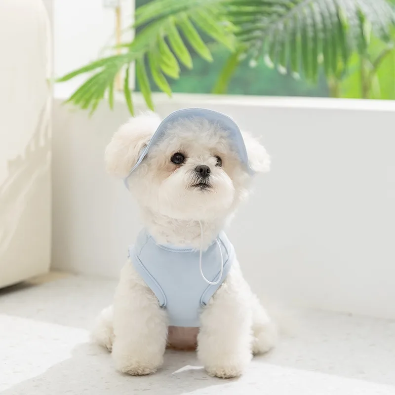 Nueva Camiseta de Protección Solar para Perros, Chaleco de Verano para Perros Pequeños, Ropa para Mascotas con Estampado de Letras, Suave Sudadera Tipo Teddy con Gorro