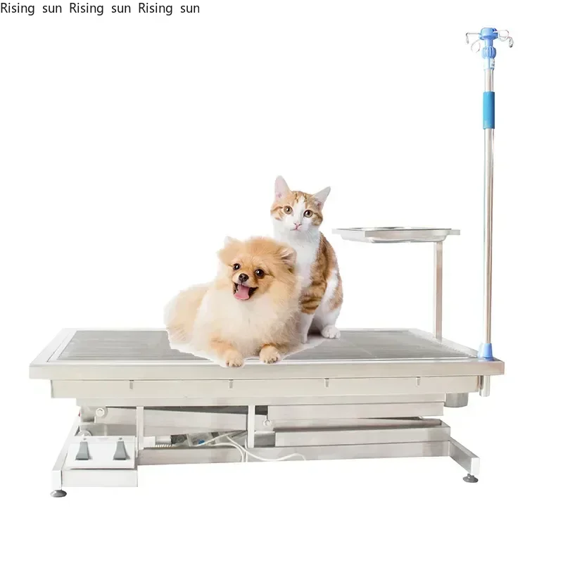 Hot Selling Veterinary/vet X-ray  Lift Operating    For Animal From Factory