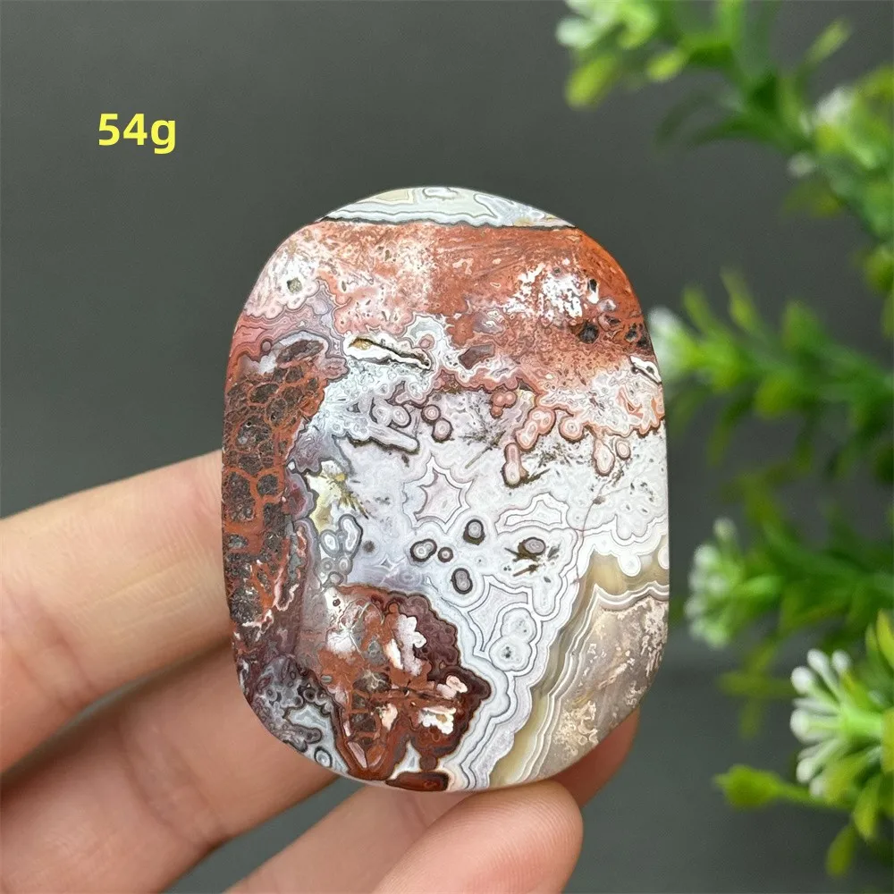 Natural Mexican Agate Palm Quartz Mineral Specimen Spiritual Meditation Healing Massage Energy Witchcraft Home Decoration Gift