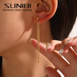 SUNIBI Stainless Steel Drop Earrings Women Silver Color Ear Line Long Tassel Earrings Temperament Jewelry Wholesale Dropshipping
