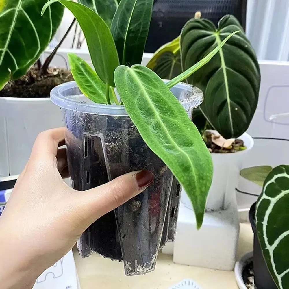 

Breathable Root Control Transparent Flower Pot Plastic with Tray Phalaenopsis Orchid Pots Beautiful With Stomata Planting Pot