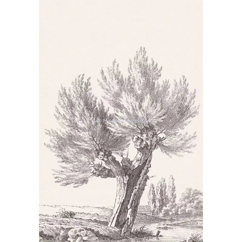 Vintage Trees Sketch Posters Poplar Pine Sycamore Maple Tree Prints Canvas Printing Wall Art Picture for Living Room Home Dec