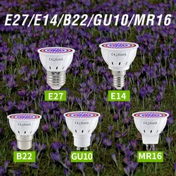 E27 LED Plant Grow Lights GU10 Full Spectrum Indoor Hydroponics Flower Seeds Vegetables Cultivation Lamp E14 MR16 B22 GU5.3 Bulb