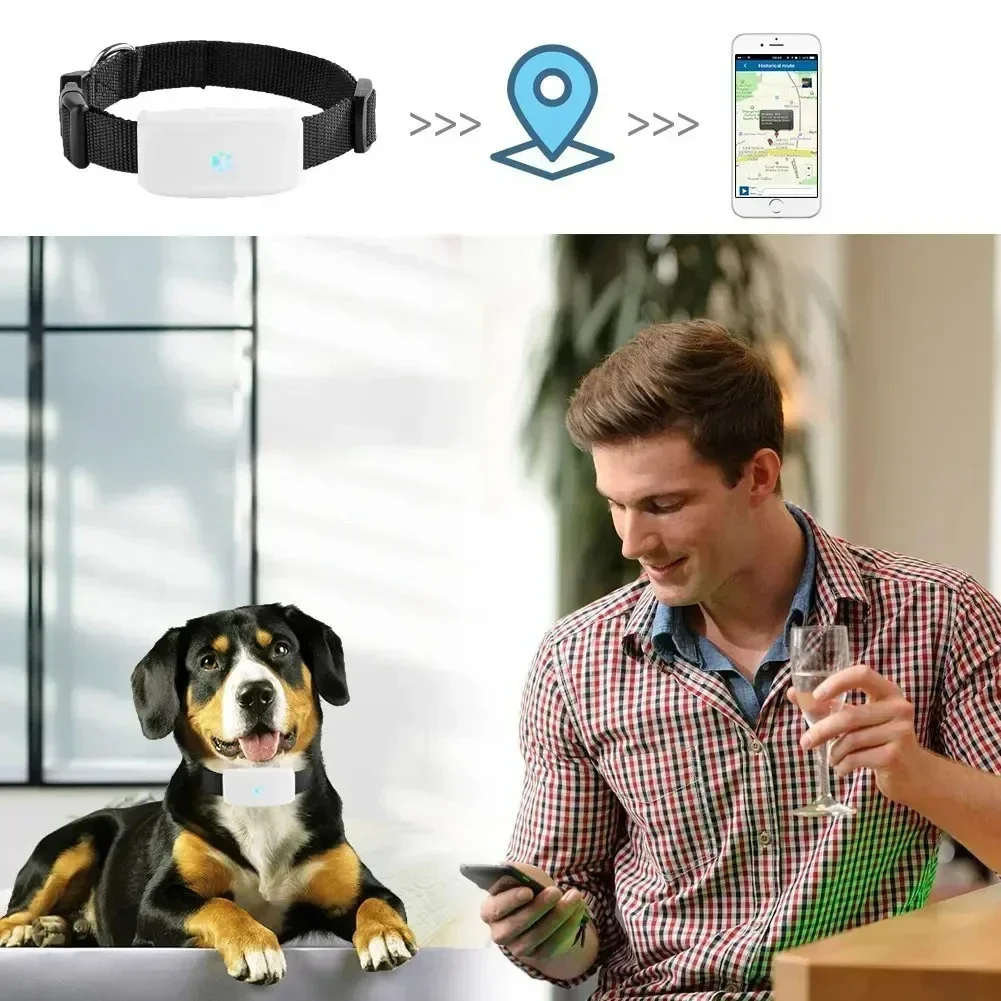 

2G GSM GPS Tracker Pet GPS Locator, Mini Anti Lost Pets Tracker with Free APP IP67 Waterproof SOS Alarm for Dog Cat New Arrival