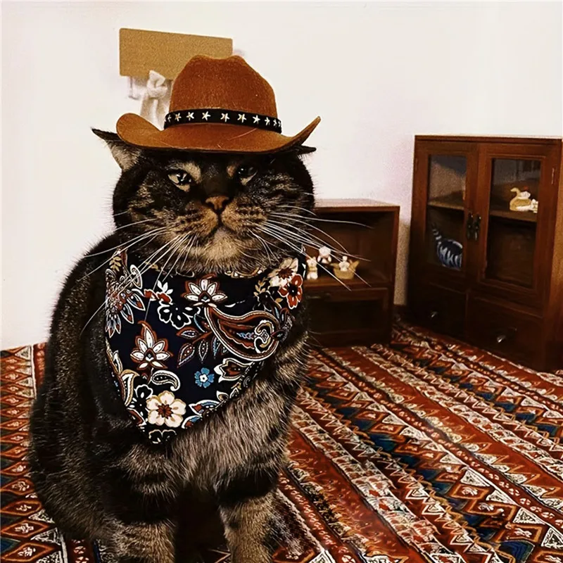 Sombrero de vaquero para mascotas, sombrero de copa ajustable, sombrero de gato, sombrero de Sol para perros pequeños y medianos, suministros para