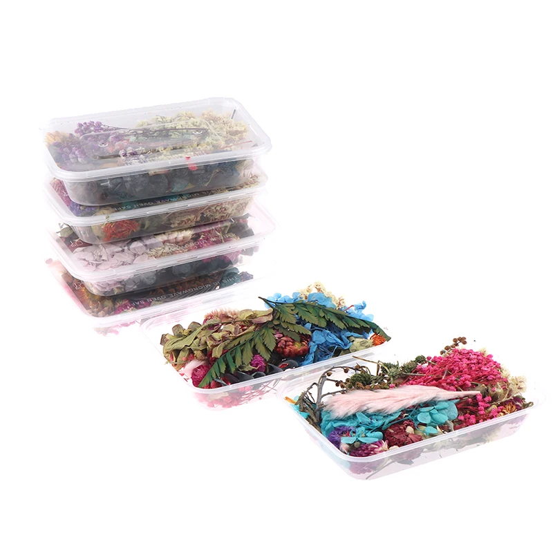 Real Dried Flowers Plants Pressed For Resin Jewellery Making Craft DIY Accessory