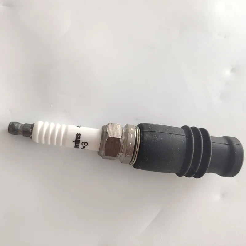 6CT8.3 Natural Gas Spark Plug Assembly