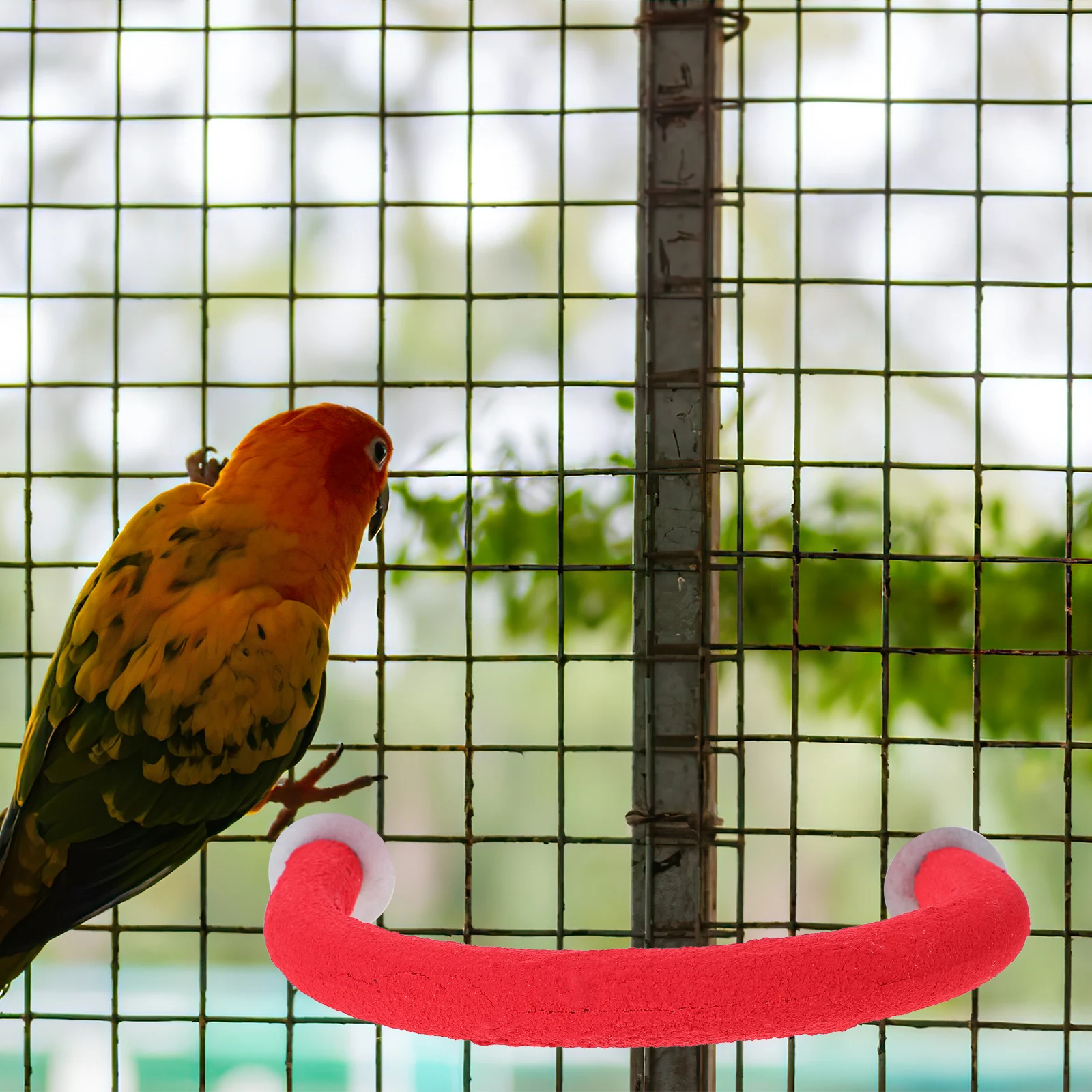 

Eco Friendly Parrot Grind Stick Bird Toy Climbing St Ladder Pet Training Home Office Use Plastic Material Durable Easy Install
