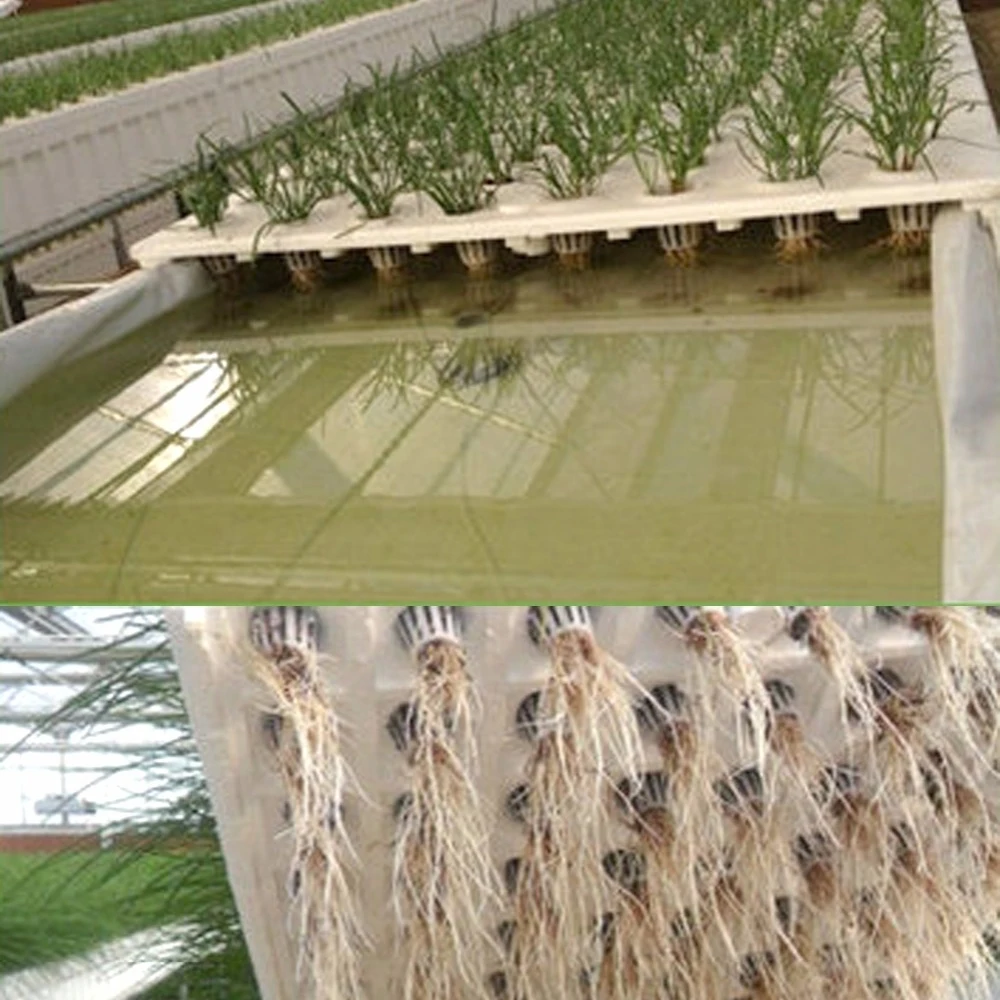 Basket Vegetable Net Cups Grow Vegetable Basket Cylinders Sponge For Orchids Garden Plant System Mesh Pot  Basket