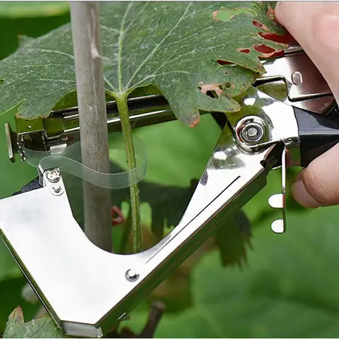 10 best sales कोई विषय पढ़ाना - №7