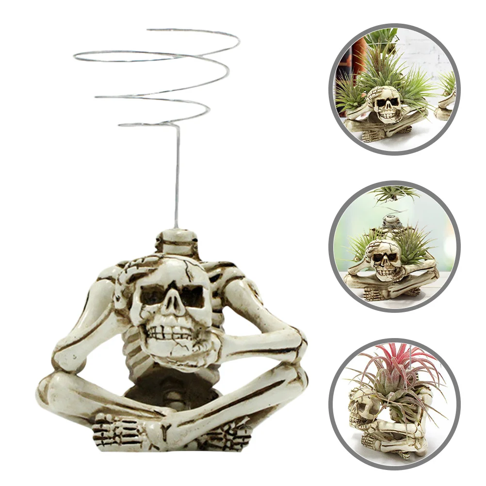 

Creative Metal Air Plant Holder Spiral Design Skull Pineapple Bracket Reusable for Long Time Use Home Decor Display Rack