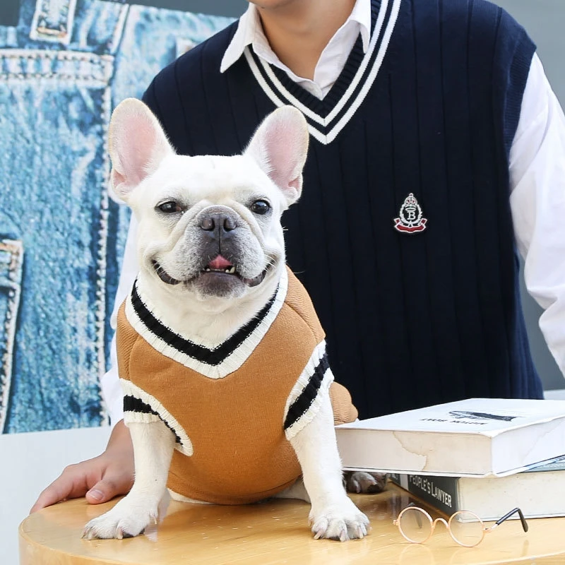 Camisola de inverno quente para cães, roupas para cães pequenos e médios, estilo universitário, suéter de gato, pulôver de cachorro, roupas chihuahua