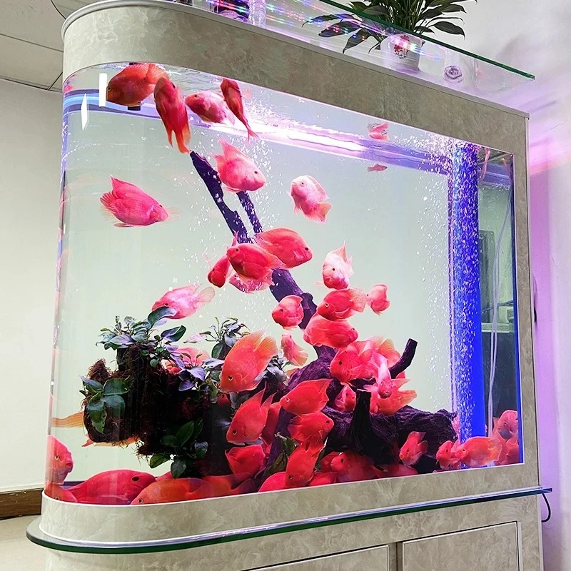 Fish tank aquarium large living room floor-to-ceiling household water-free ecological partition screen entrance bottom filter