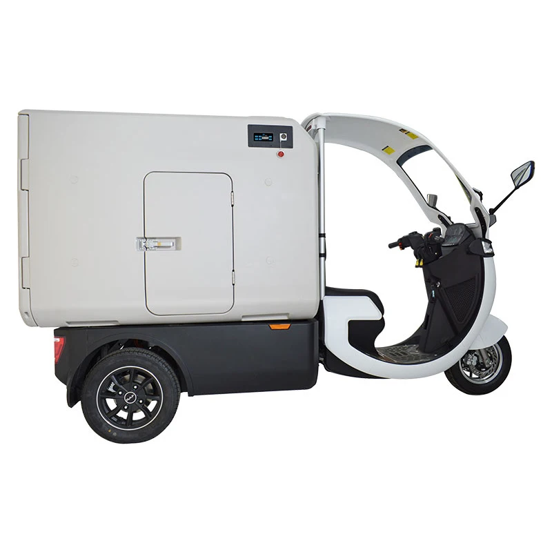 Electric Refrigerator Three-wheel Truck with Fully Closed Custom Cargo Box, Cold Chain Vegetable Preservation Delivery