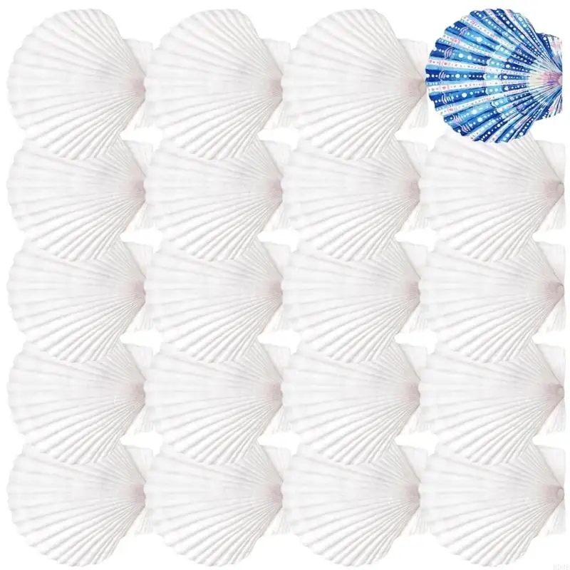 20 Stück natürliche weiße Muscheln, bemalbare natürliche Muscheln zum Handmalen und Kuchenbacken, Dekoration, Schule, B03E – Detail 7