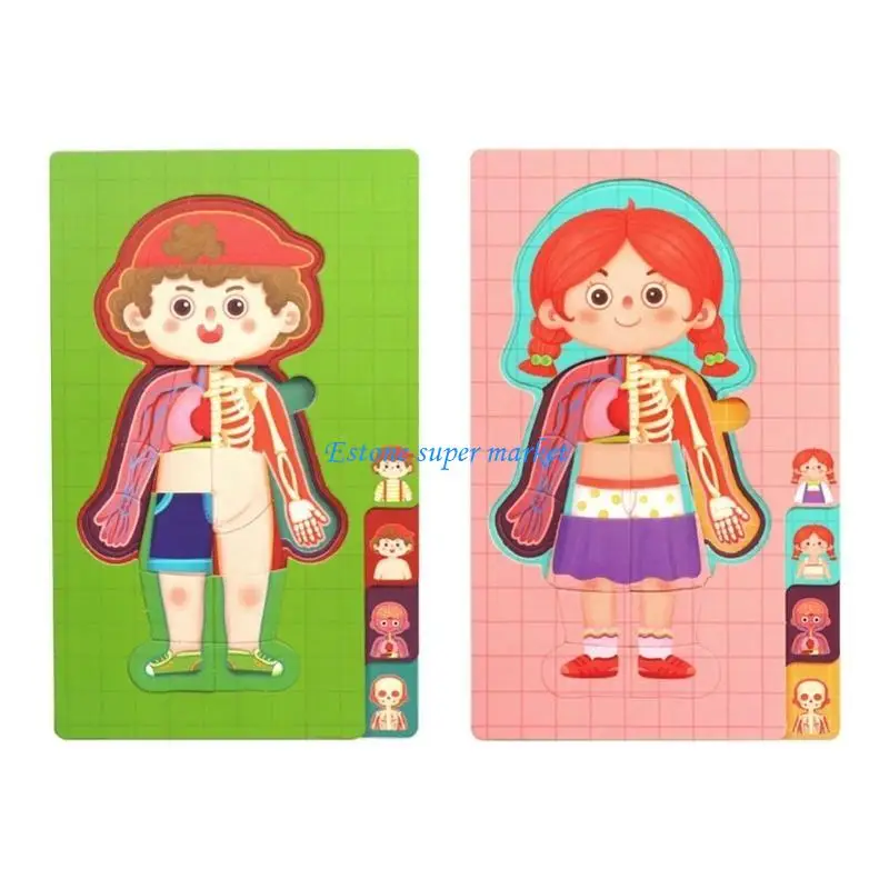 090B Science Puzzle Toy Human Torso Organ Cognitive Board Toy Children Educational Teaching Toy Preschool Classroom Supply