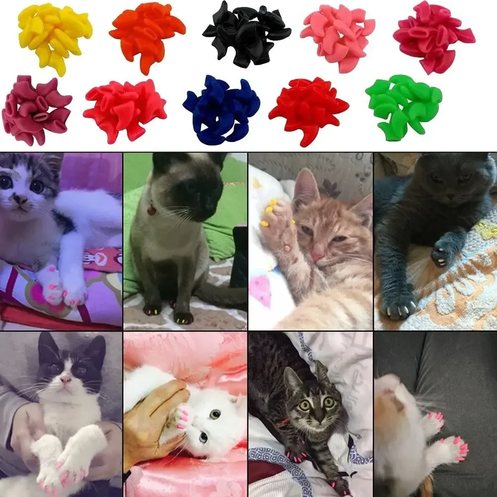 New FASHION Colorful Cat Nail Caps Soft Cat Claw Soft Paws 20 PCS/lot with Free Adhesive Glue Size XS-L Gift for Pet Dog