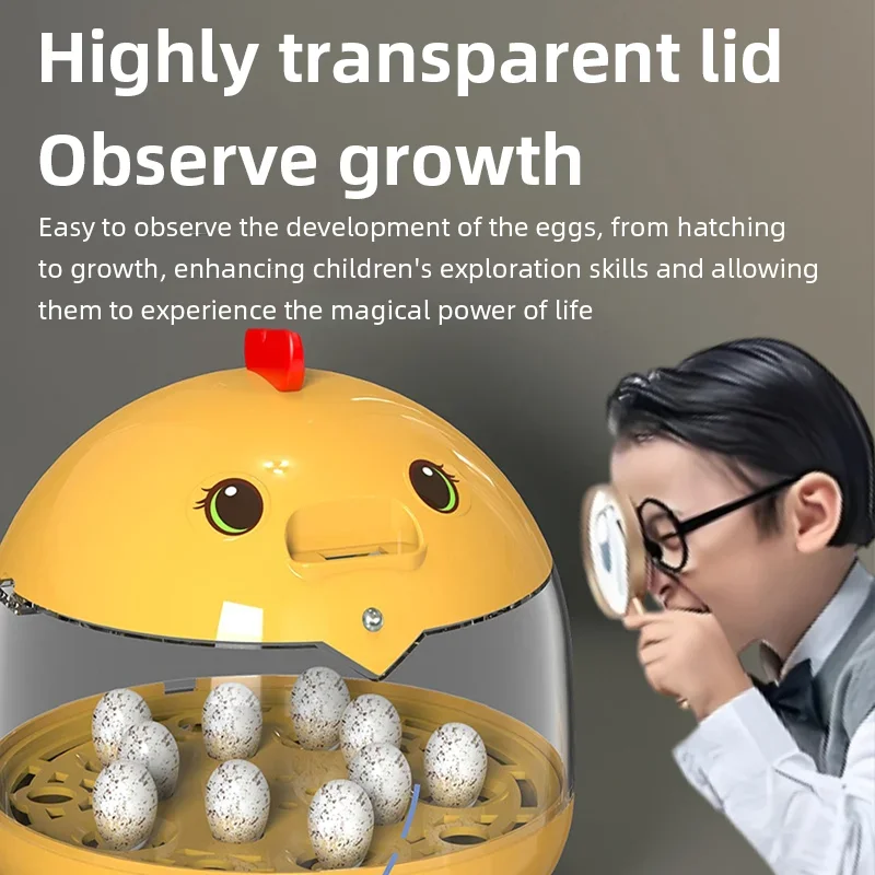 حاضنات أوتوماتيكية صغيرة، حاضنات أوتوماتيكية للأطفال، حاضنات بيض الدجاج والطيور لزراعة الدواجن