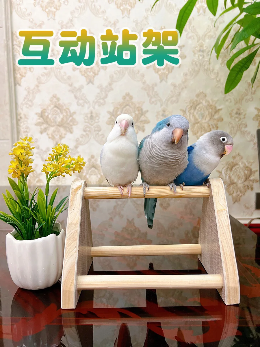 

Parrot Toy Stand Stand Stand Solid Wood Stand Stick Training Stand Interactive Stand Stick Magic Catch Stick Xuanfeng Peony