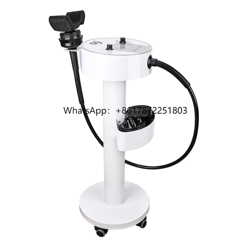 

Lose Weight Equipment Weight Loss Electrotherapy Equipment
