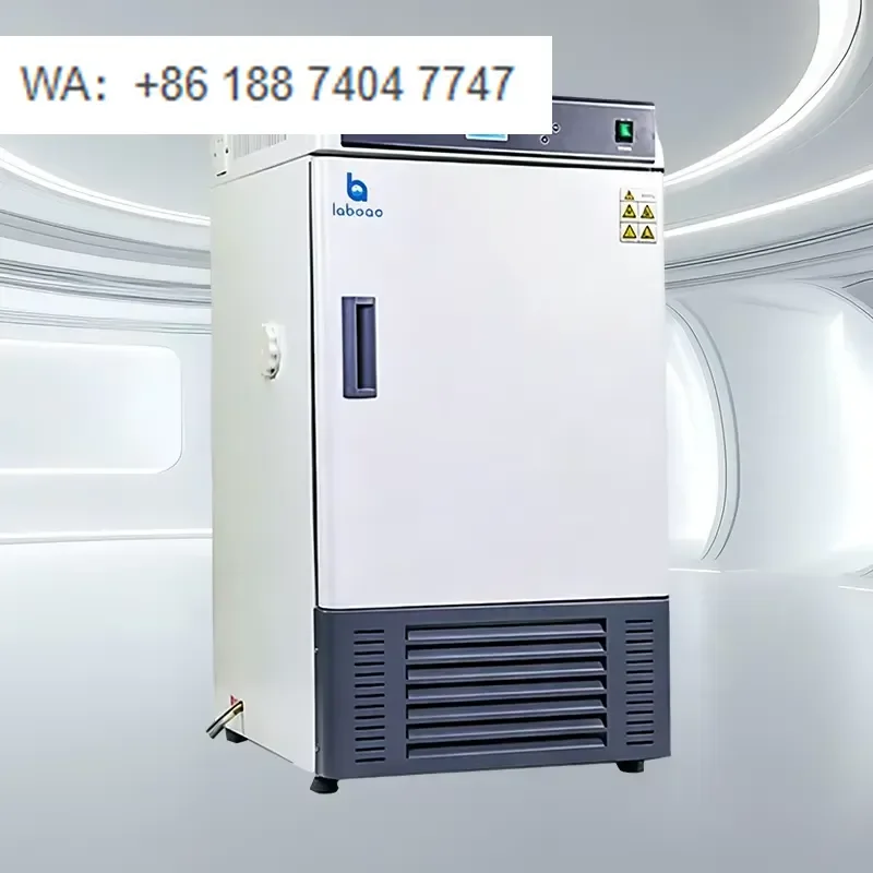 for  LJX Series Digital Bacteriological Mold Incubator Stainless Steel Temperature 0.1 Resolution Humidity 60%-90%