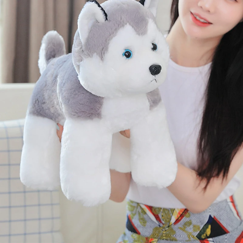 Plush Toys PP Cotton Stuffed Toys 20/60cm Cute Simulation Husky Dog Plush Toys Stuffed Doll Kids Baby Toys Plush Husky Dolls
